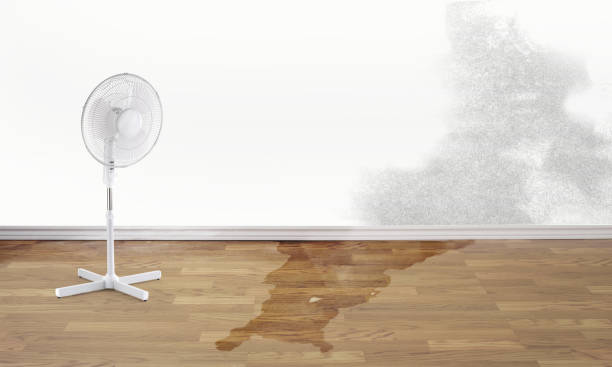 Best Wood Floor Water Damage Restoration in Victoria, VA