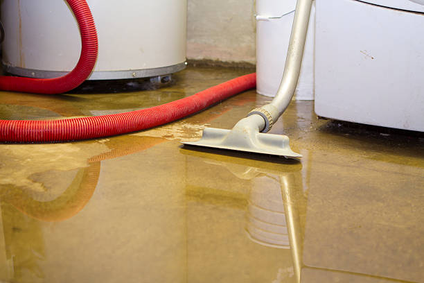 Best Sewage Cleanup and Restoration in Victoria, VA